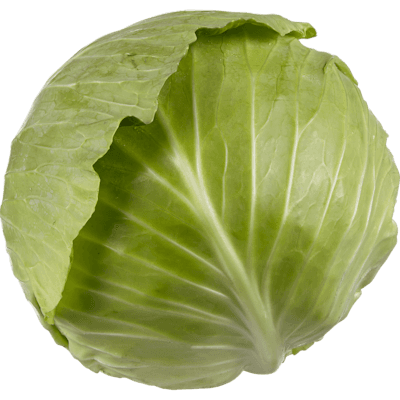Cabbage, Green