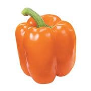 Hothouse Orange Bell Pepper