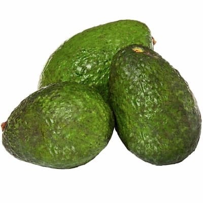 Avocat Hass
